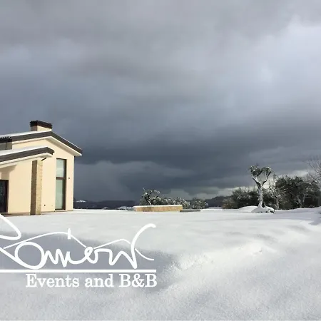 Ranieri Events And 4*