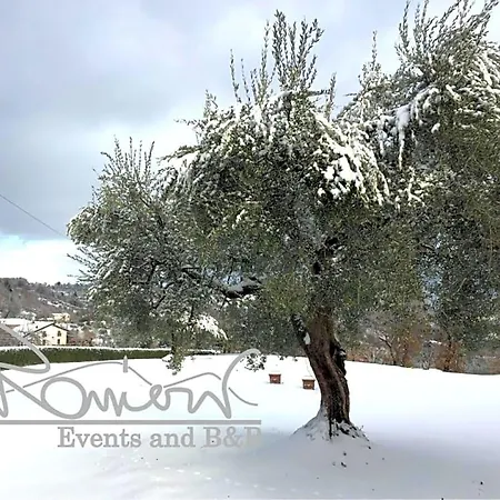 Ranieri Events And
