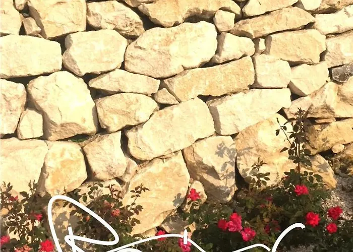 Bed & Breakfast Ranieri Events And